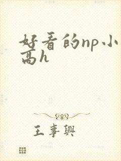 好看的np小说高h