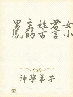 男主姓君女主姓凤的古言小说