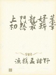 上门龙婿叶辰萧初然最新章节更新