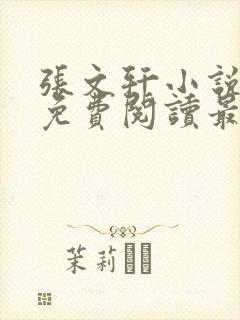 张文轩小说全文免费阅读最新章节