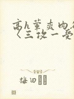 高h荤爽肉欲文〈三攻一受〉