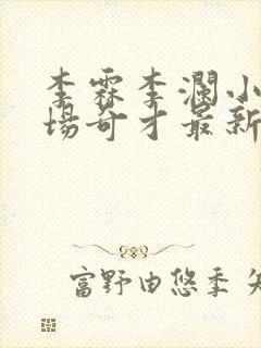 李霖李澜小说官场奇才最新更新