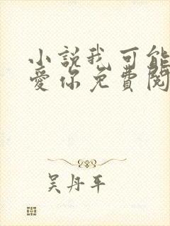 小说我可能不会爱你免费阅读