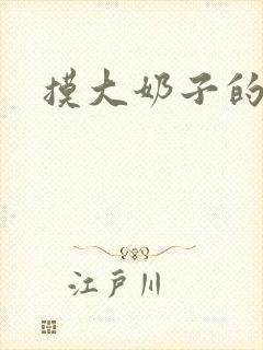 摸大奶子的小说封面