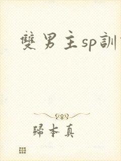双男主sp训诫