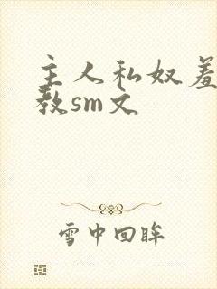 主人私奴羞辱调教sm文