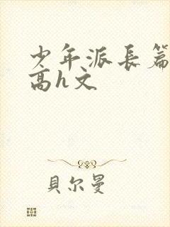 少年派长篇巨肉高h文封面