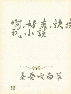 啊,好爽,快操我小说封面