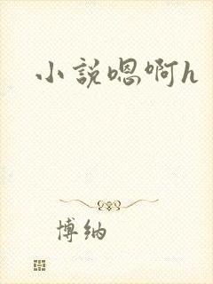 小说嗯啊h