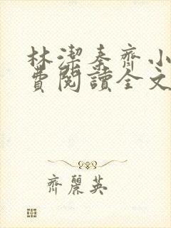 林洁秦齐小说免费阅读全文下载