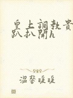 皇上调教贵妃跪趴扒开h