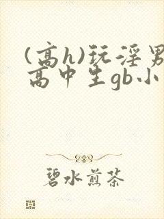 (高h)玩淫男高中生gb小说h