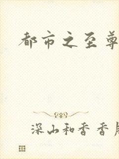 都市之至尊战神