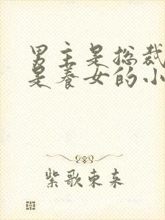 男主是总裁女主是养女的小说