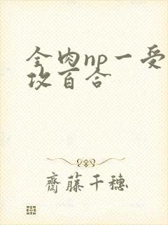 全肉np一受多攻百合封面