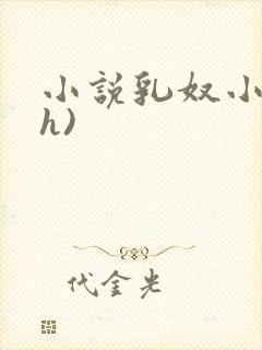 小说乳奴小小(h)