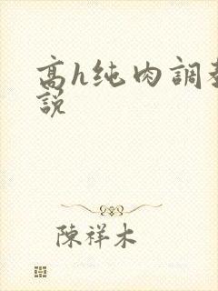 高h纯肉调教小说