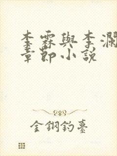 李霖与李澜最新章节小说