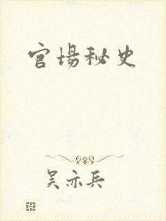 官场秘史