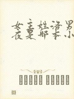 女主姓洛男主姓夜是哪本小说