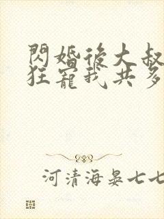 闪婚后大叔每天狂宠我共多章