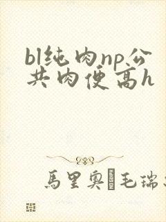 bl纯肉np公共肉便高h