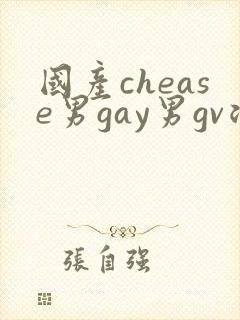 国产chease男gay男gv浪小辉
