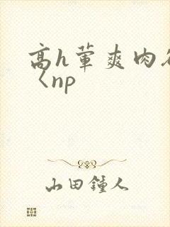 高h荤爽肉欲文〈np