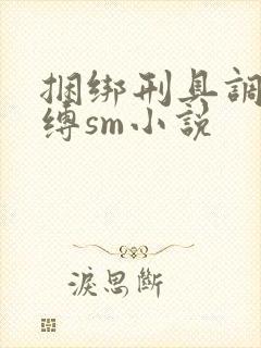 捆绑刑具调教束缚sm小说