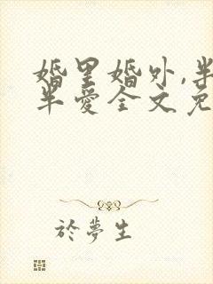 婚里婚外,半欢半爱全文免费阅读