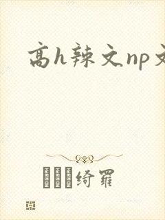高h辣文np文