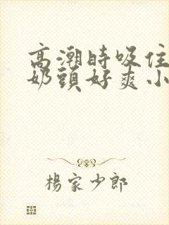 高潮时吸住我的奶头好爽小说