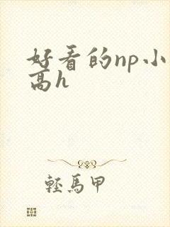好看的np小说高h封面
