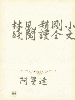 林风赵刚小说在线阅读全文下载