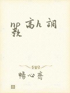 np 高h 调教