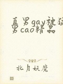 直男gay被猛男cao精品