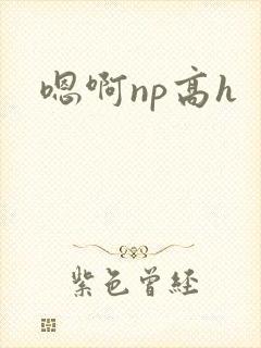 嗯啊np高h
