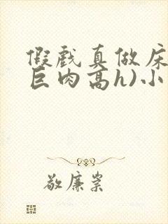 假戏真做床戏(巨肉高h)小说