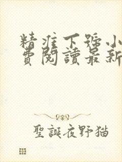 精准下号小说免费阅读最新章节更新封面