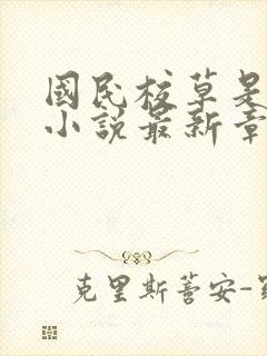 国民校草是女生小说最新章节阅读