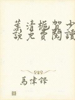 叶清栀贺少衍小说免费阅读最新章节