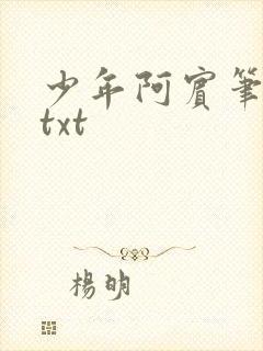 少年阿宾笔趣阁txt