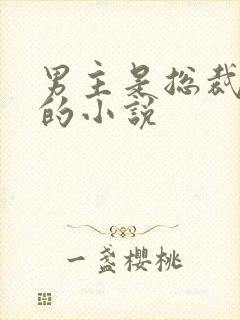 男主是总裁姓盛的小说封面