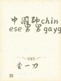 中国帅chinese男男gaygay网站xnxx