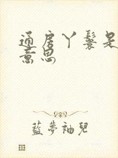 通房丫鬟是什么意思