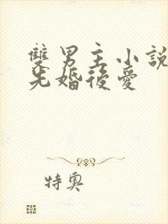 双男主小说推荐先婚后爱