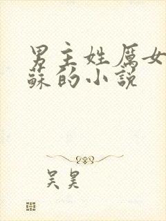 男主姓厉女主姓苏的小说封面