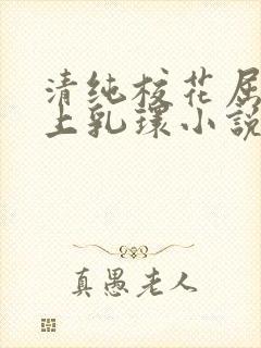 清纯校花屈辱戴上乳环小说h封面