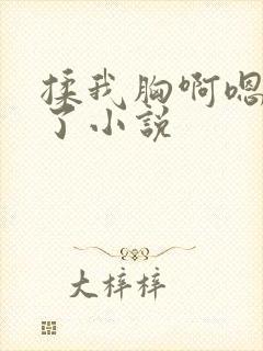 揉我胸啊嗯出奶了小说