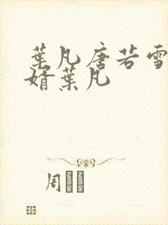 叶凡唐若雪 王婿叶凡